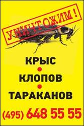 Постельный клоп - главный враг городских жителей. Избавим!